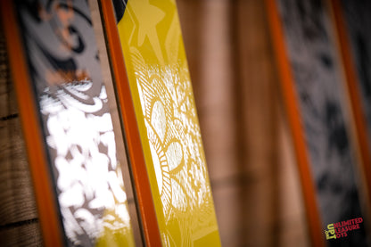 Pack ALPINE FAST TRACK ST 165 cm + Head EVO 11