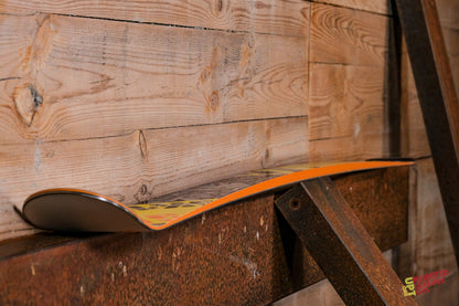 Skis ALPINE FAST TRACK ST 165 cm